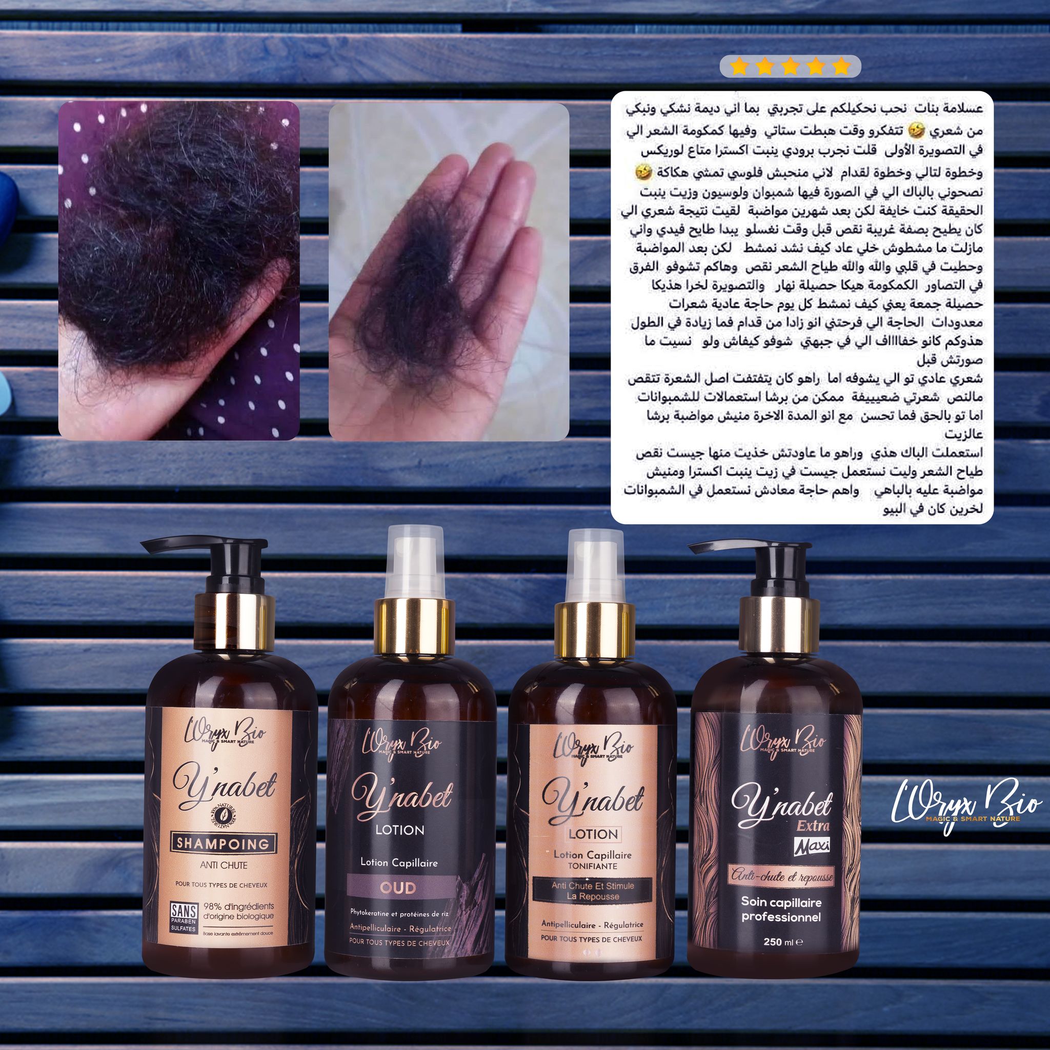 387463512_877560413850785_5768397673438025214_n