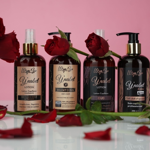 313527186_649628350168063_7047208364167797145_n